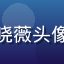 互联网内容运营专家李晓薇头像，女性，职业形象清晰